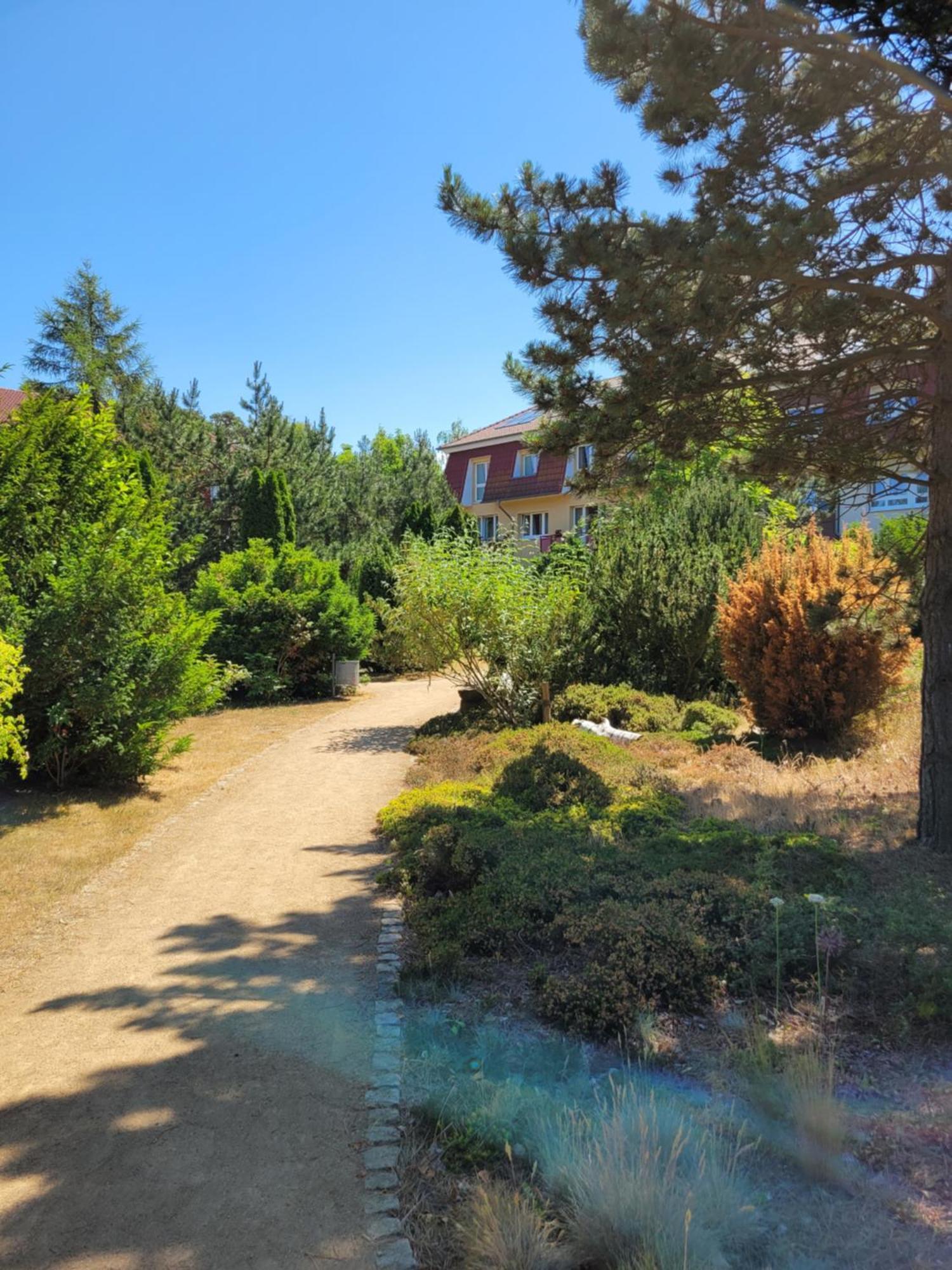 Appartement Im Duenengarten Ostseebad Kühlungsborn 외부 사진