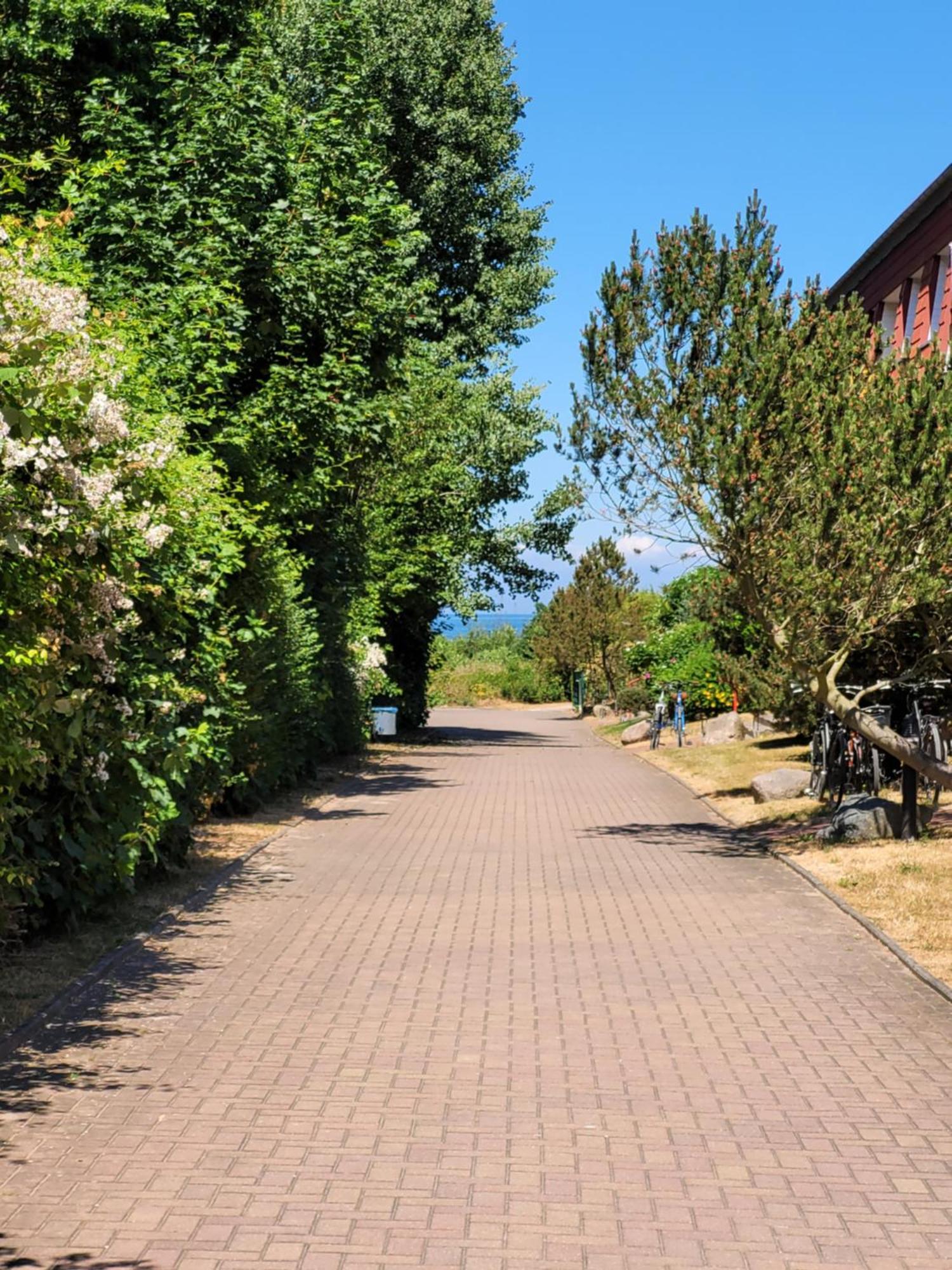 Appartement Im Duenengarten Ostseebad Kühlungsborn 외부 사진